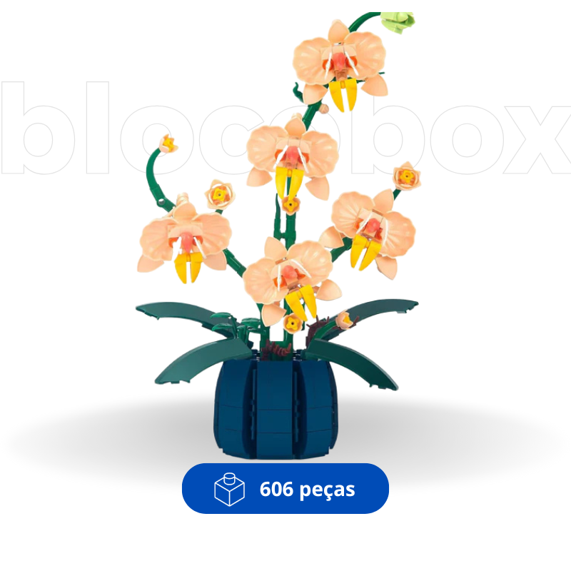 Mini Orquídeas | 606PCS