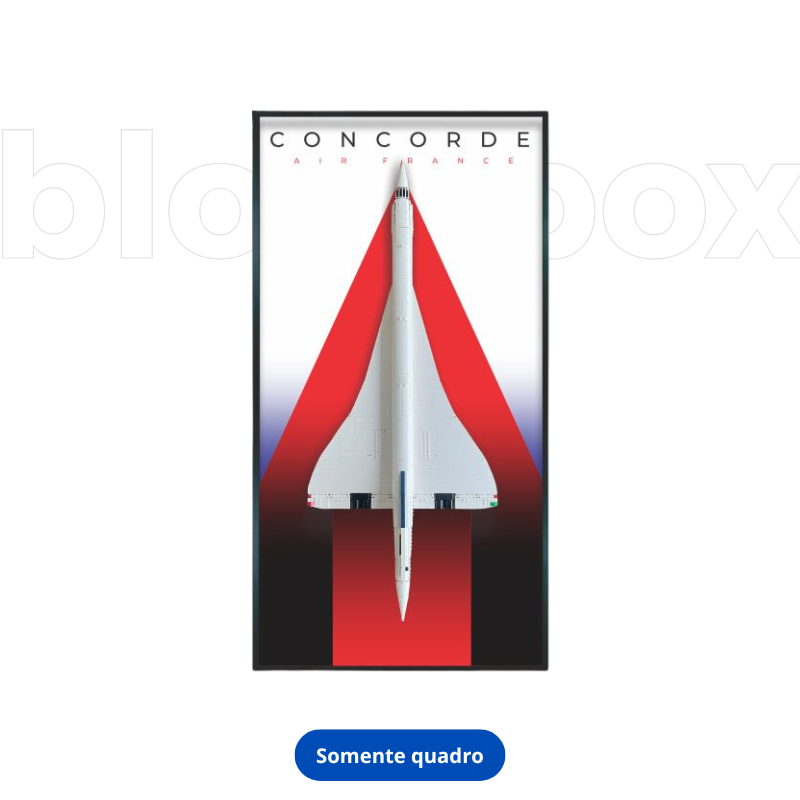 Quadro Concorde 03 | 125x60cm