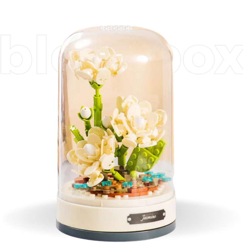 Flores Musical Box | 317 PCS