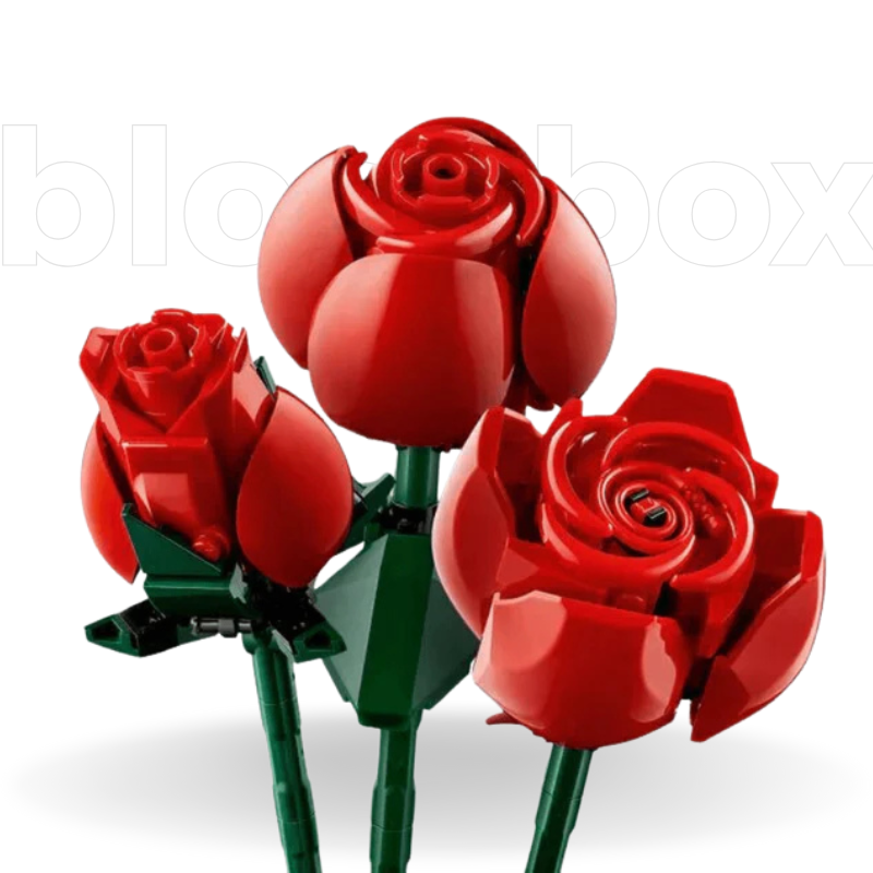 Buquê de Rosas | 968PCS