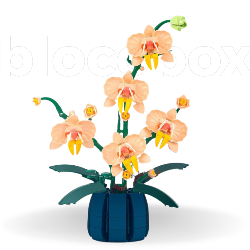 Mini Orquídeas | 606PCS