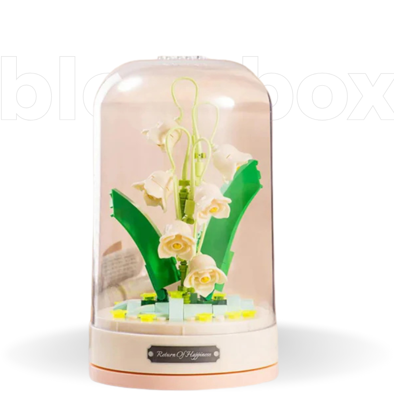 Flores Musical Box | 317 PCS