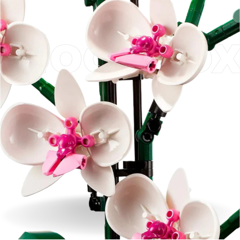 Orquídeas | 711PCS