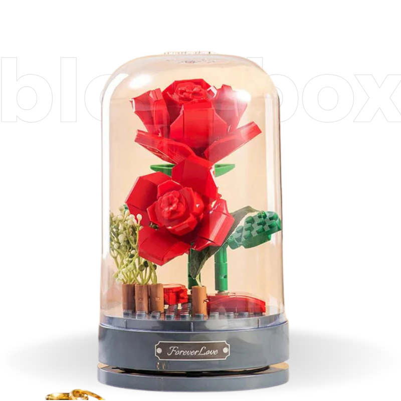Flores Musical Box | 317 PCS