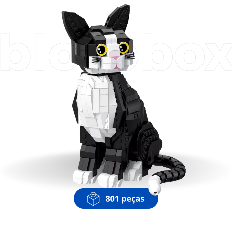 Gato Preto e Branco | 801PCS
