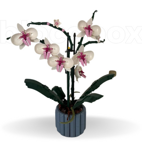 Orquídeas | 711PCS