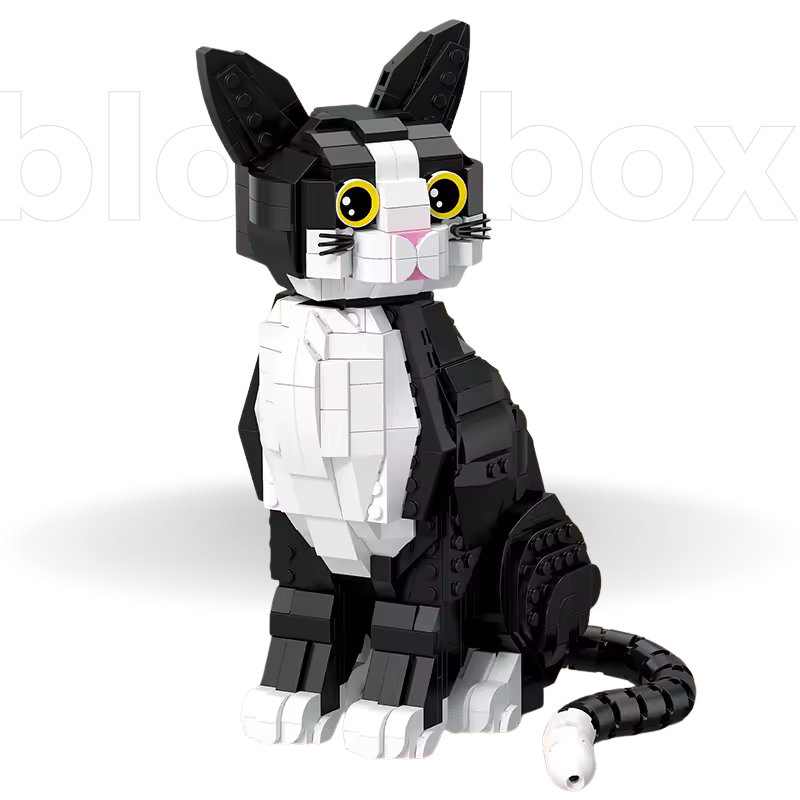 Gato Preto e Branco | 801PCS