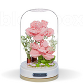 Flores Musical Box | 317 PCS
