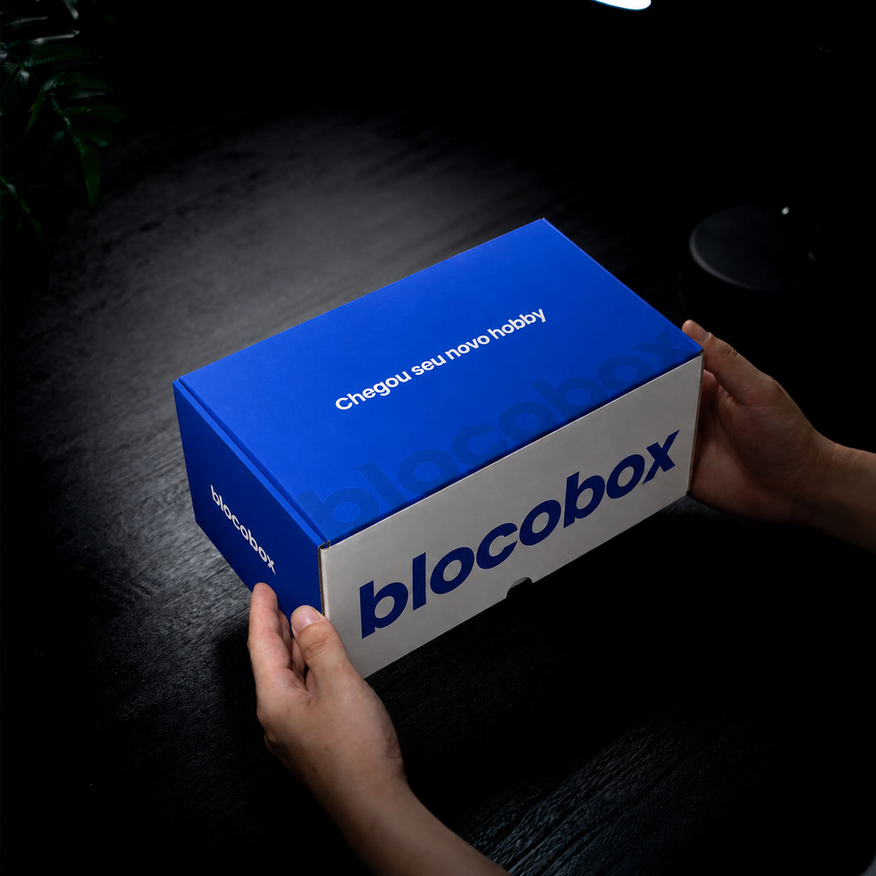 Modelo Surpresa BlocoBox®