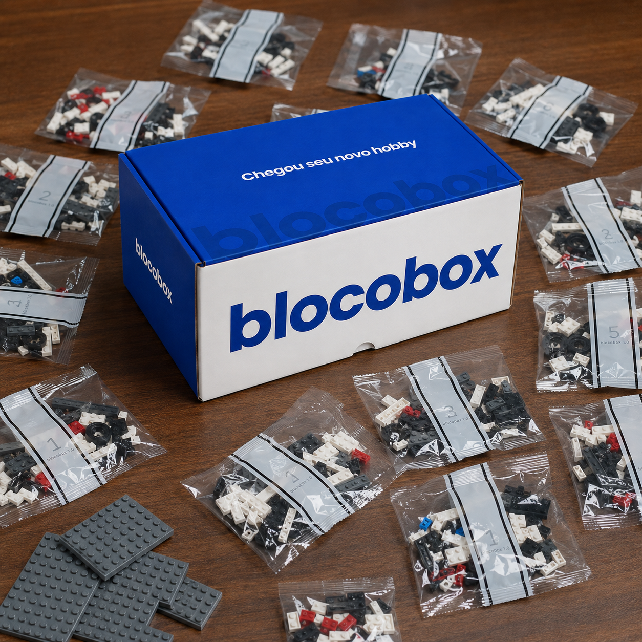 Modelo Surpresa BlocoBox®